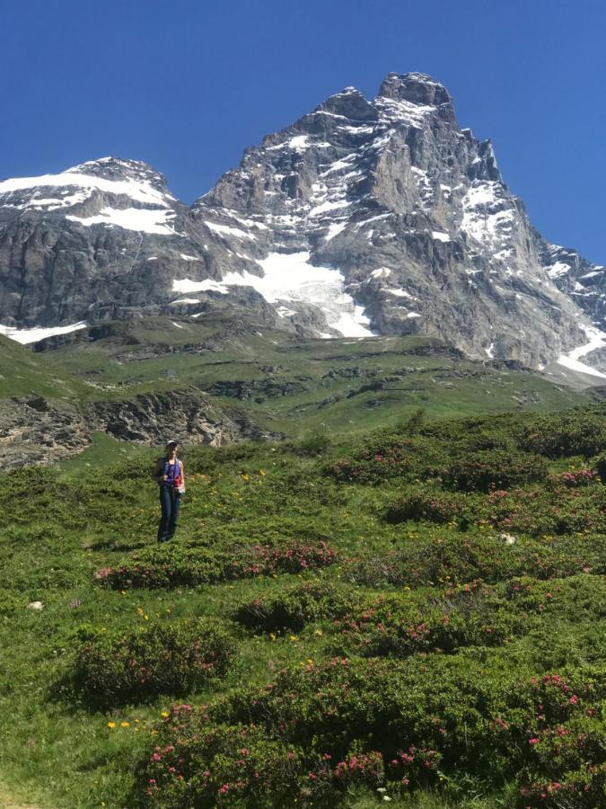 Piccolo Paradiso In Centro Cervinia Брей-Червінія Екстер'єр фото